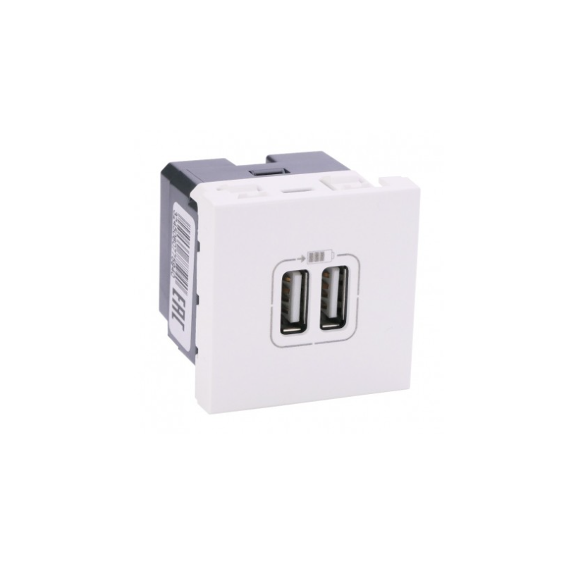 MECANISME PRISE DOUBLE USB TYPE A 2 MODULES BLANC MOSAIC